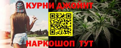 гидра Ярославль