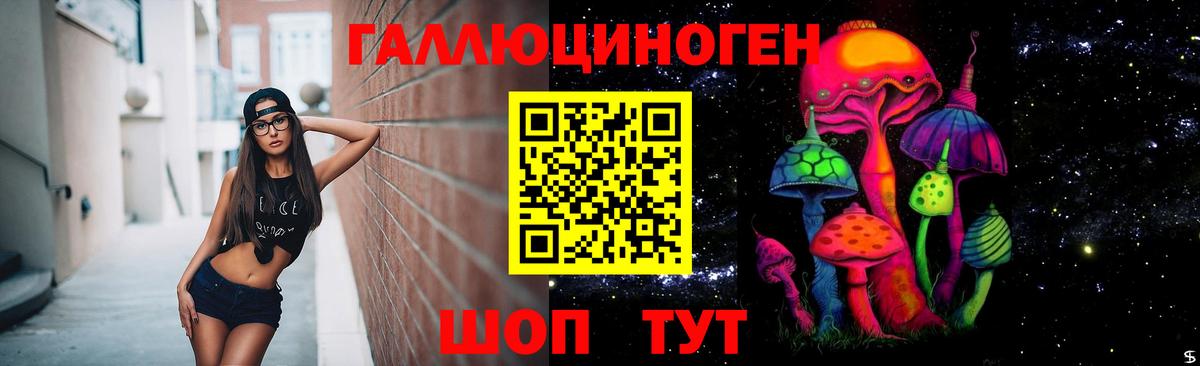 Псилоцибиновые грибы MAGIC MUSHROOMS  Вход с VPN  Галлюциногенные грибы ЛСД  Большой Камень 
